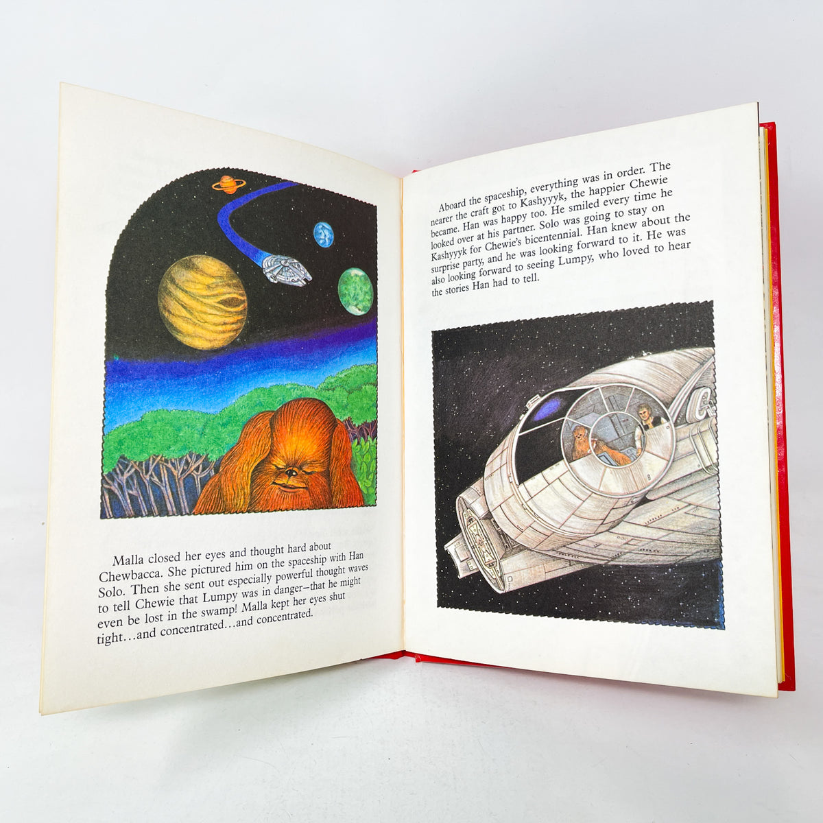 The Wookie Storybook - Vintage Star Wars (1979)