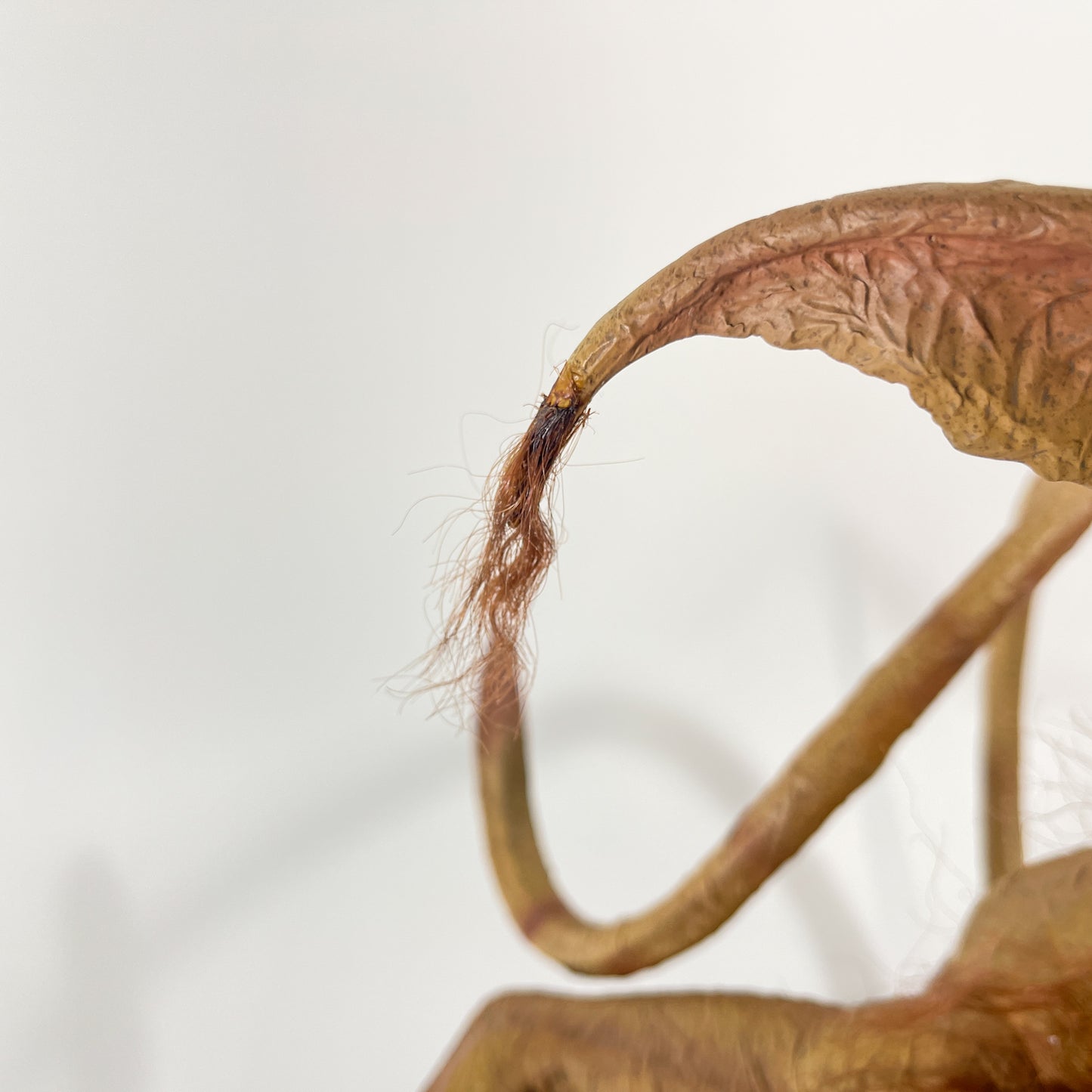 Salacious B. Crumb Life-Size Figure – Sideshow Collectibles (2008)