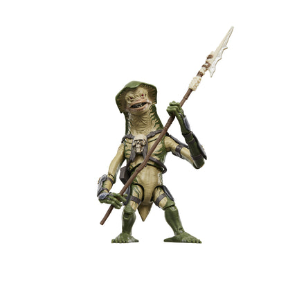 Pre-Order VC419 Amani Guard (Deluxe) - Hasbro Vintage Collection (2026)