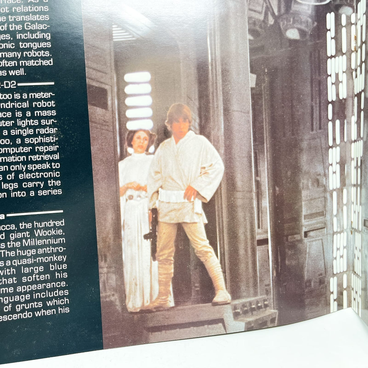 Vintage Cineplex Star Wars Non-Toy Star Wars Pre-Release Exhibitor's Campaign Book with Original Mailer Box (1977)