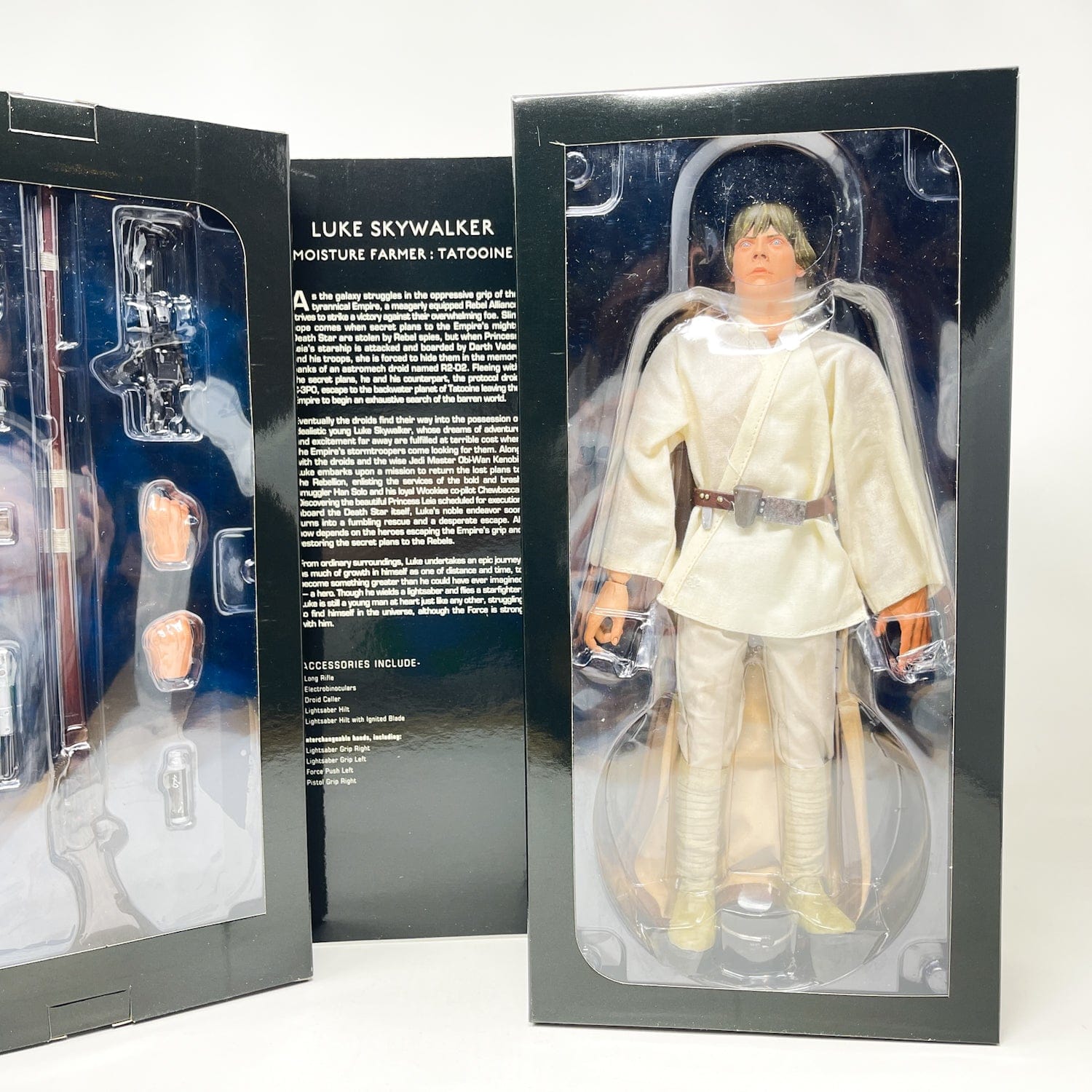 Vintage SIDESHOW Star Wars Luke Skywalker - Heroes of the Rebellion - Sideshow 1:6 Scale